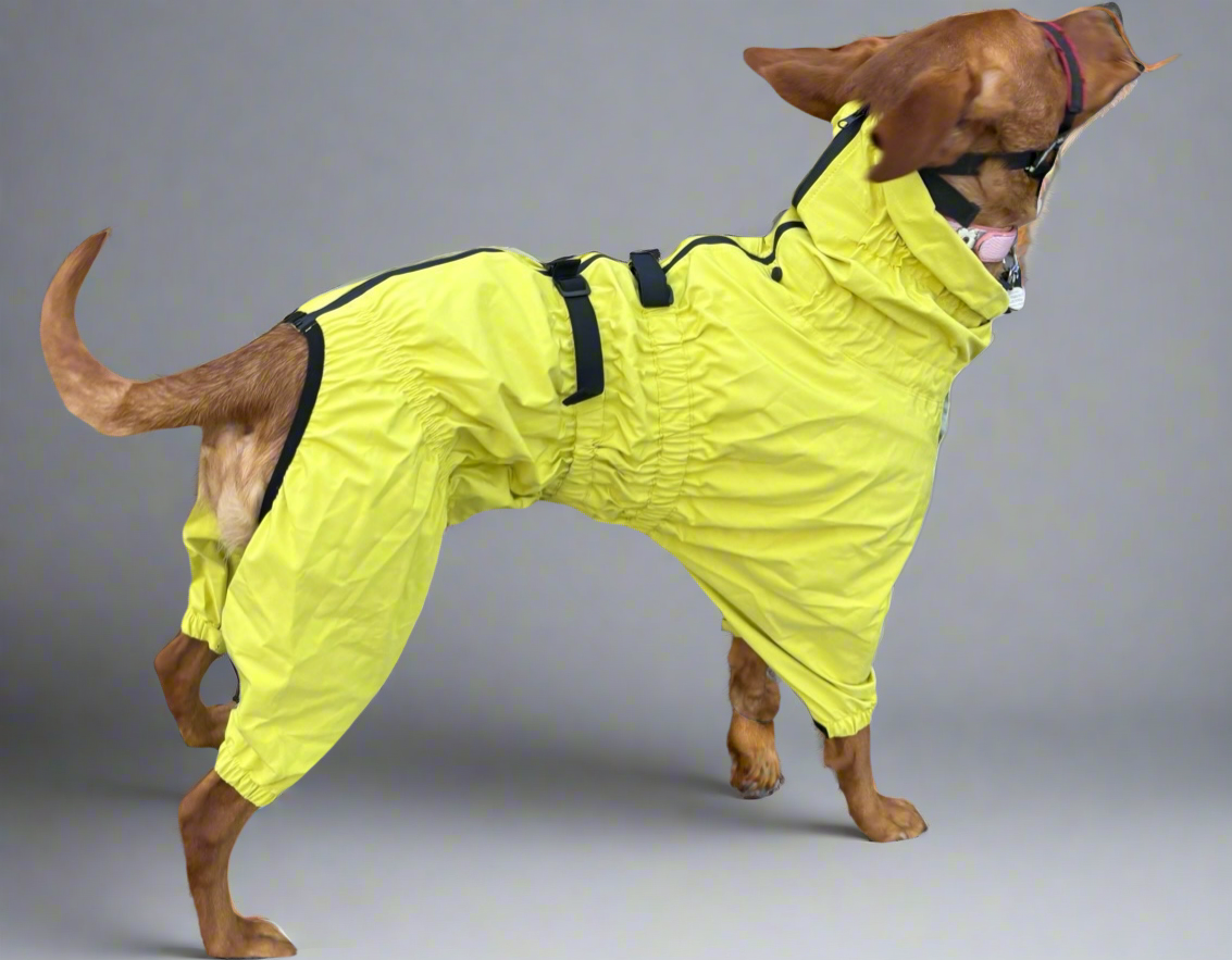 Waterproof puddlesuit for medium to large  dogs - No Matting