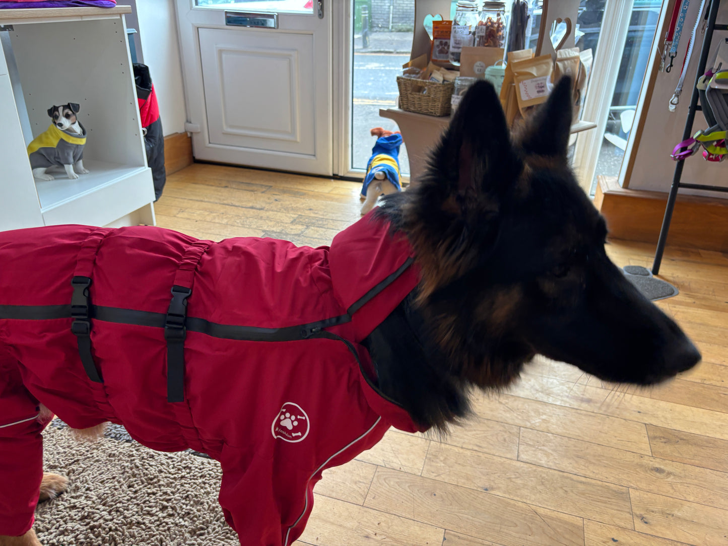 Waterproof puddlesuit for medium to large  dogs - No Matting