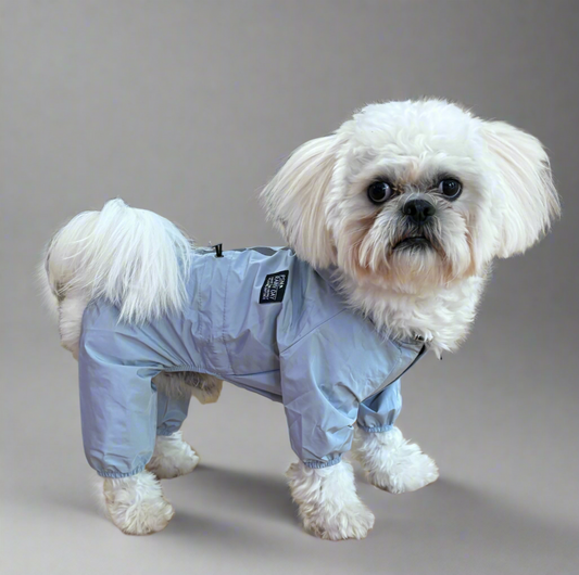 Small Dog Puddlesuit - No Matting