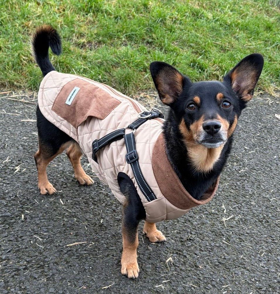 Small Dog Harness Coats