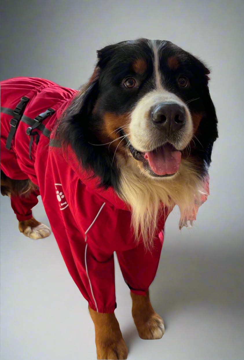 Waterproof puddlesuit for medium to large  dogs - No Matting