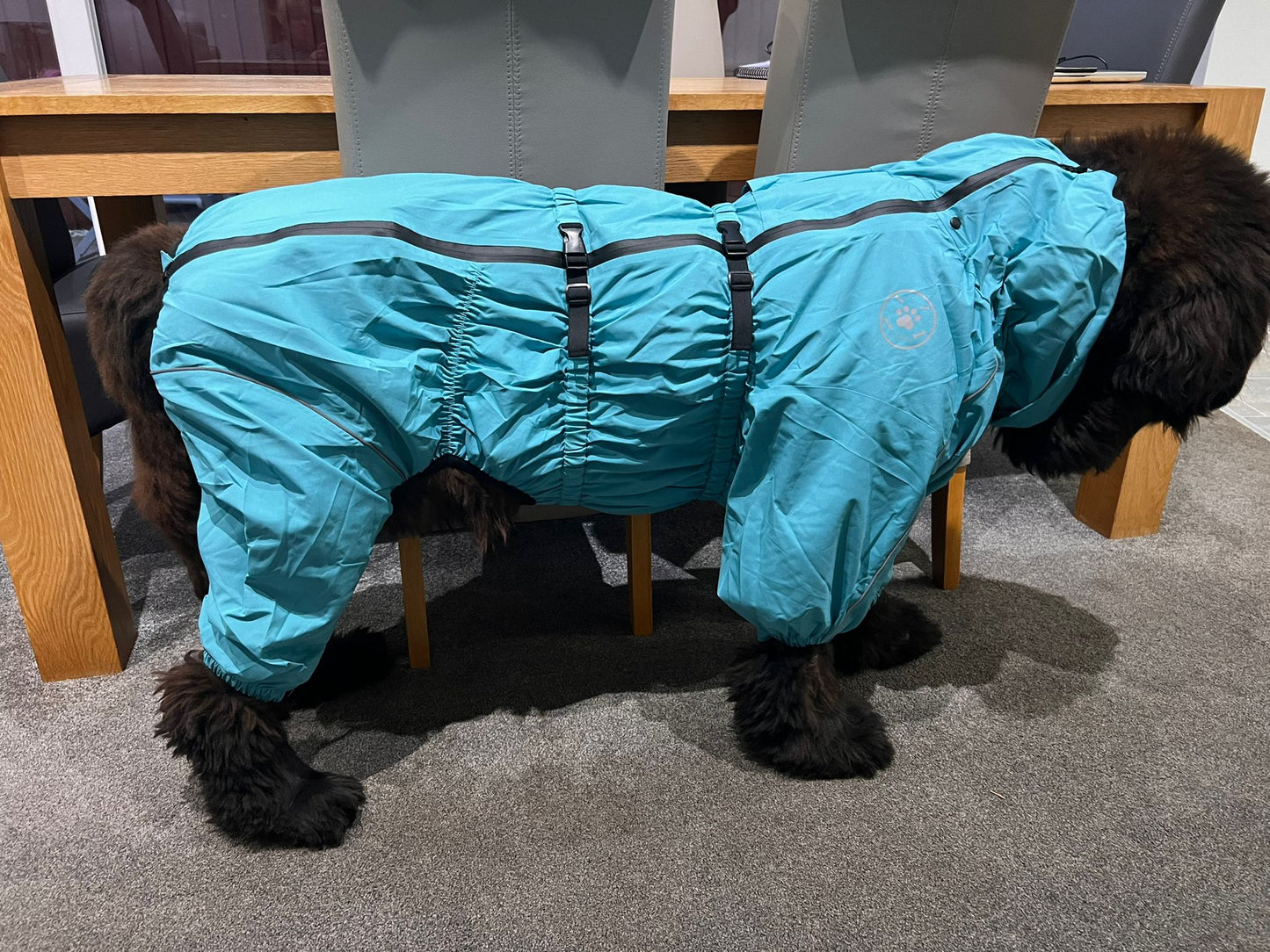 Waterproof puddlesuit for medium to large  dogs