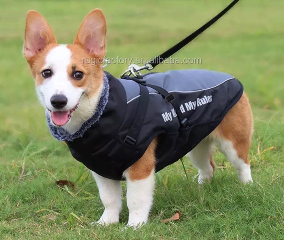 Winter , waterproof raincoat with harness