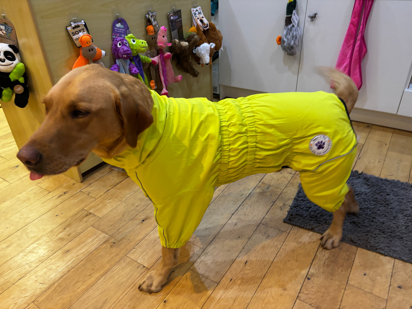 Waterproof puddlesuit for medium to large  dogs - No Matting