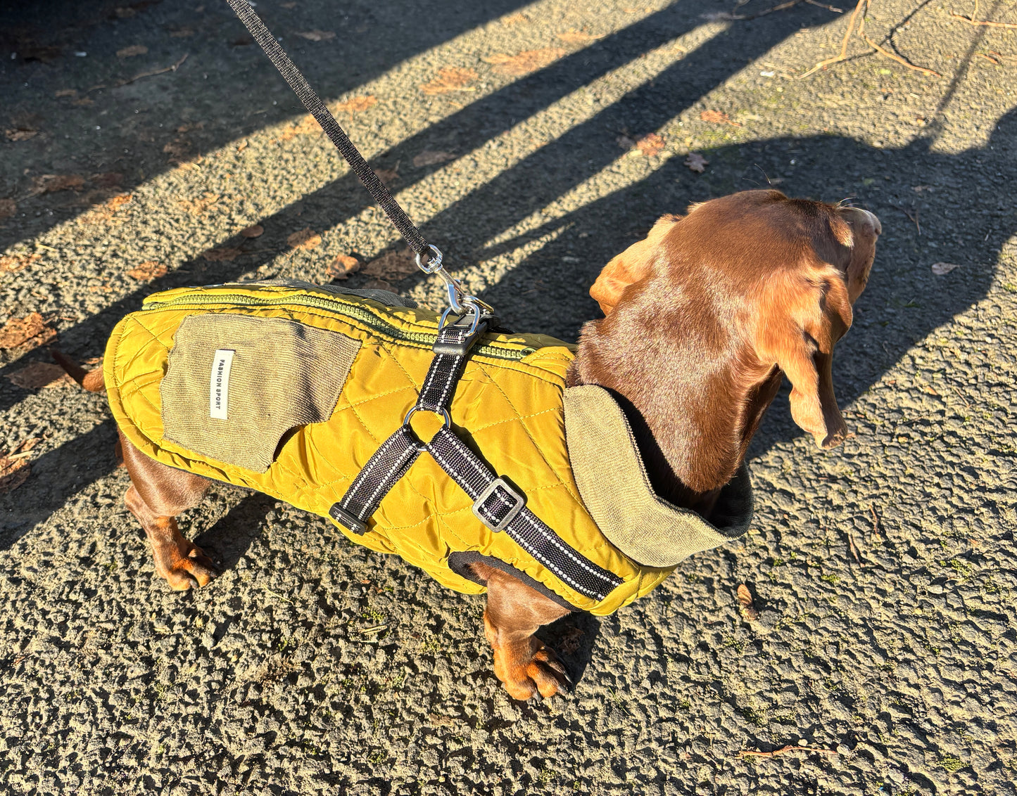 Small Dog Harness Coats