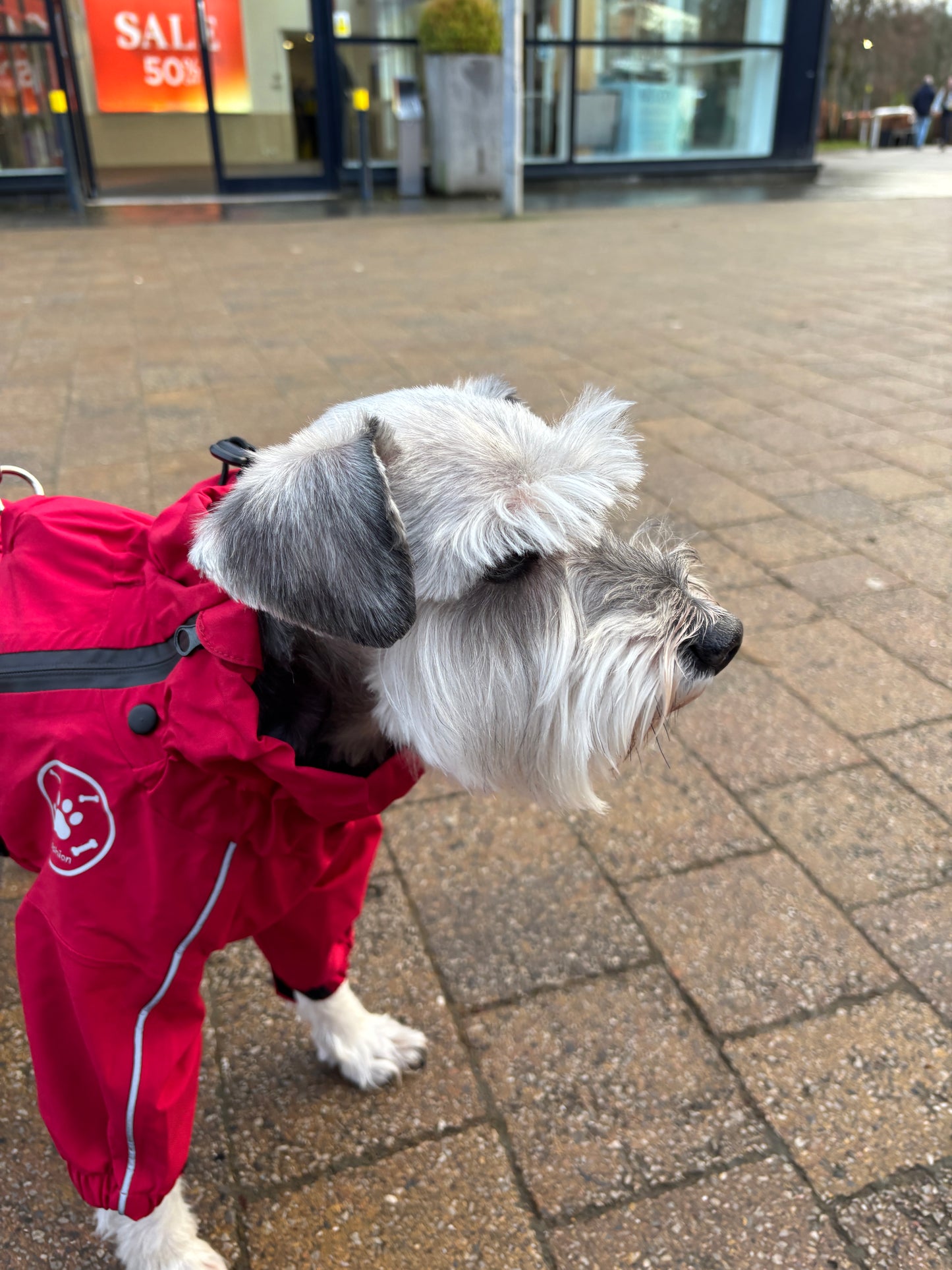 Waterproof puddlesuit for medium to large  dogs - No Matting