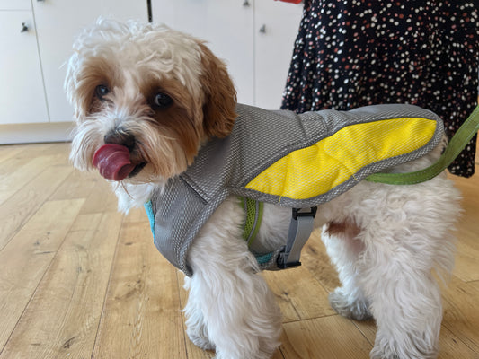 Cooling Vest