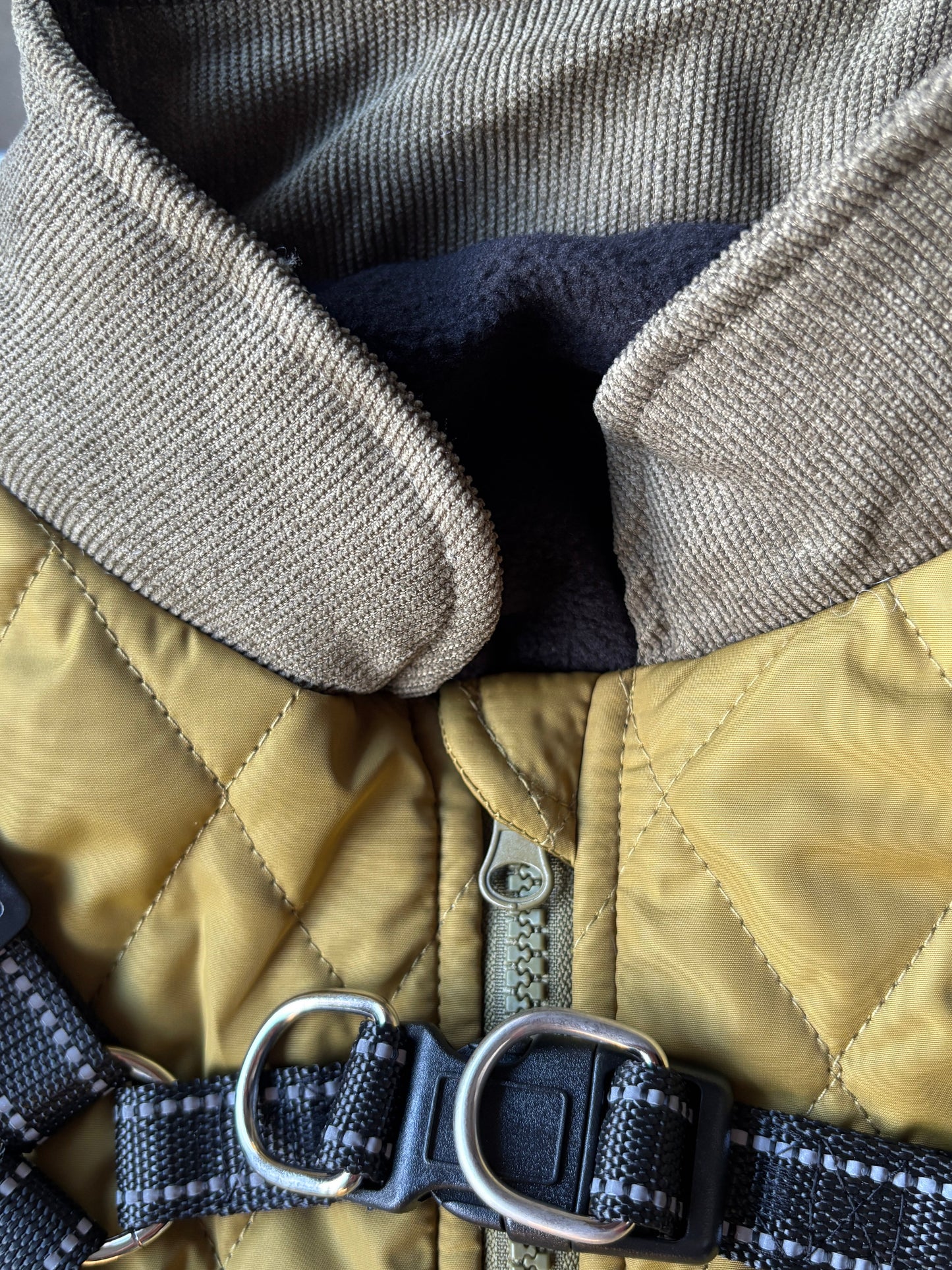 Small Dog Harness Coats