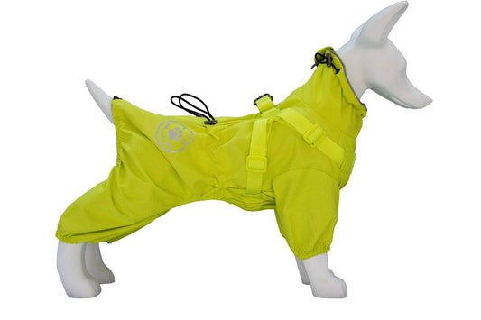 Puddlesuit for Small Dogs with integrated harness.