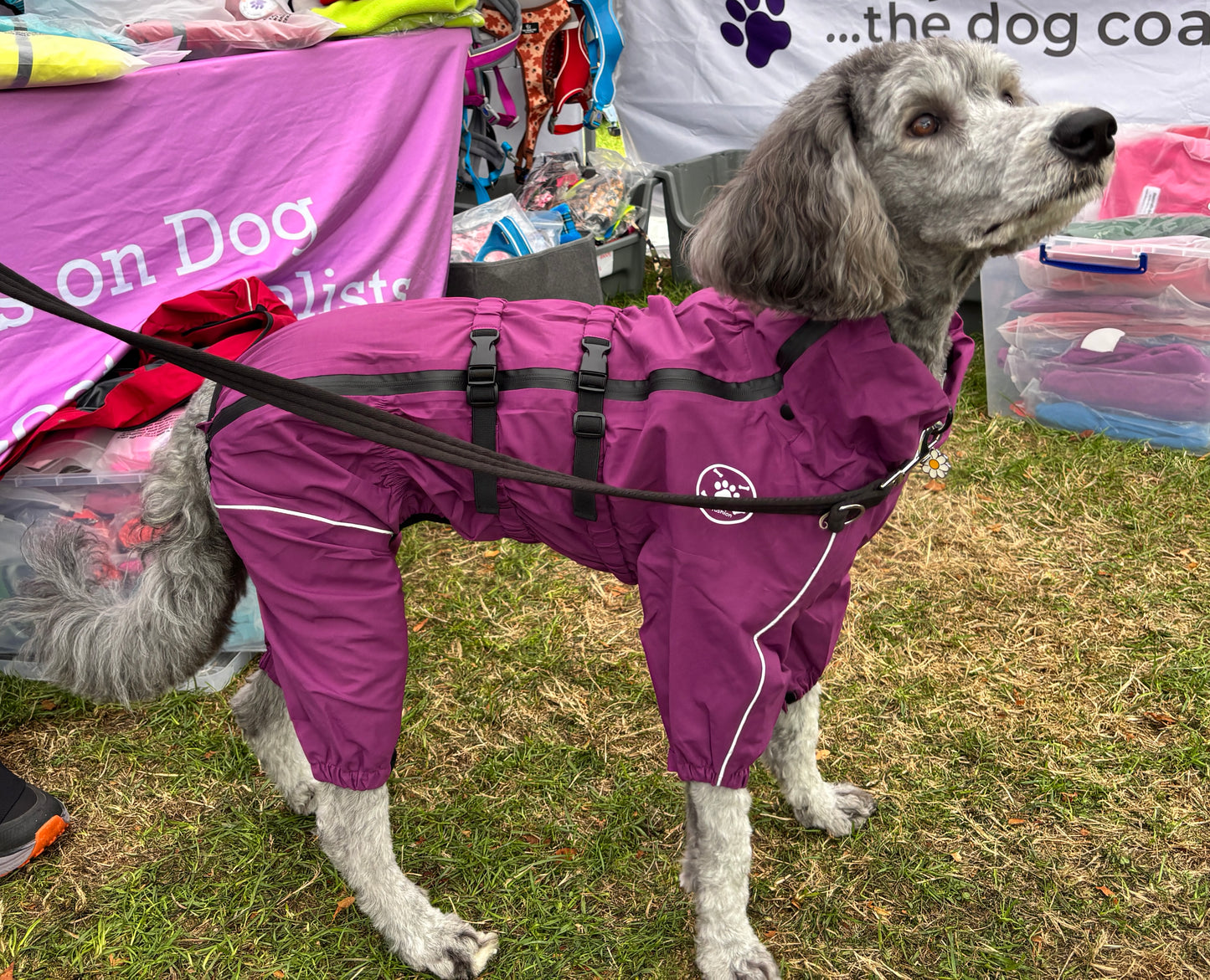 Premium Waterproof Puddlesuit - No Matting