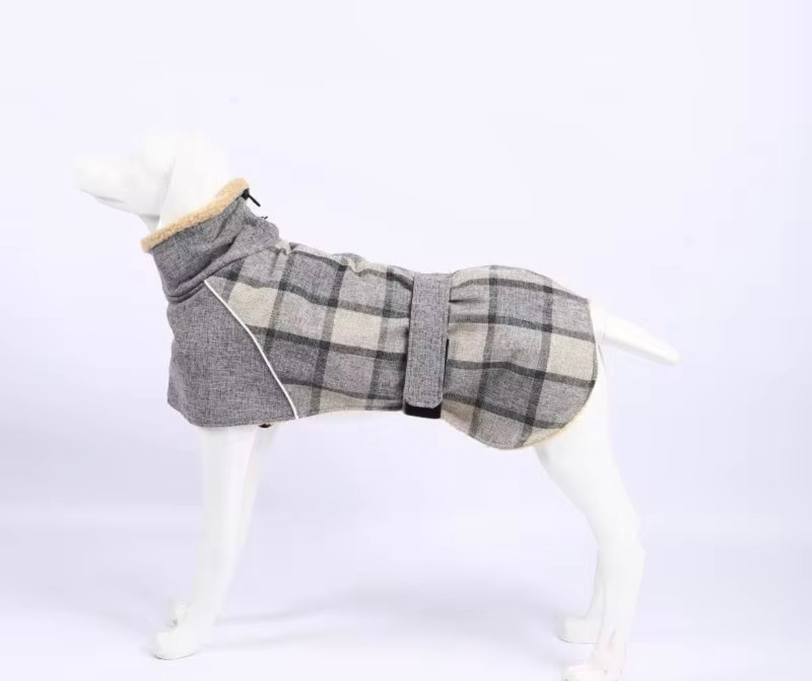 Long Cozy coat Whippets & Greyhound