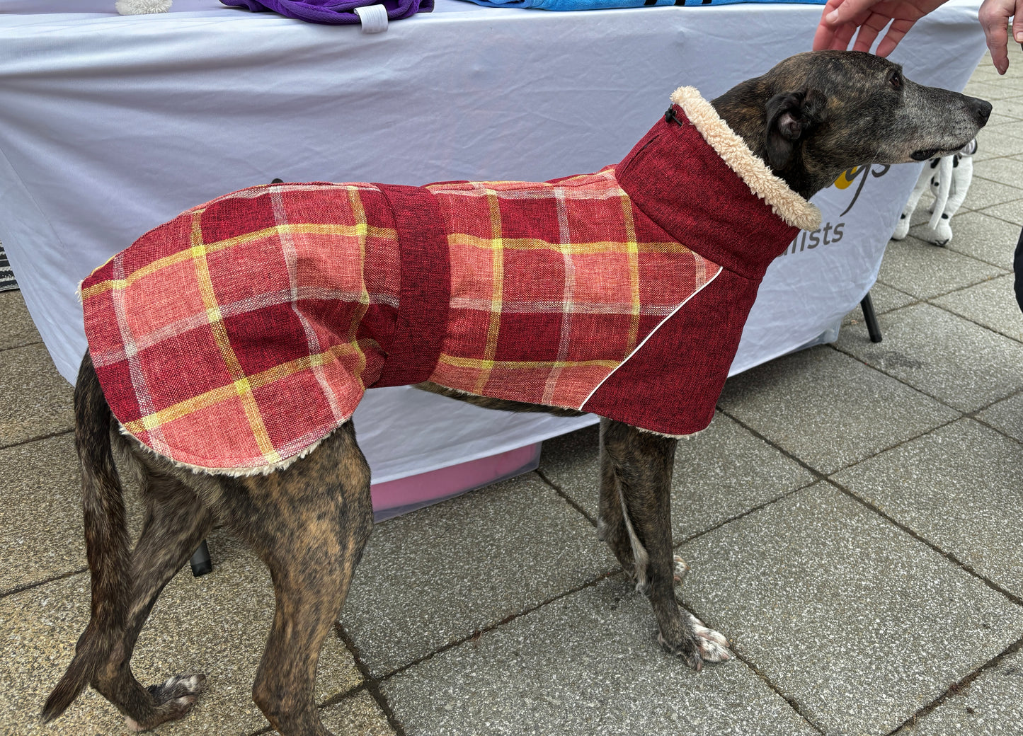 Long Cozy coat Whippets & Greyhound