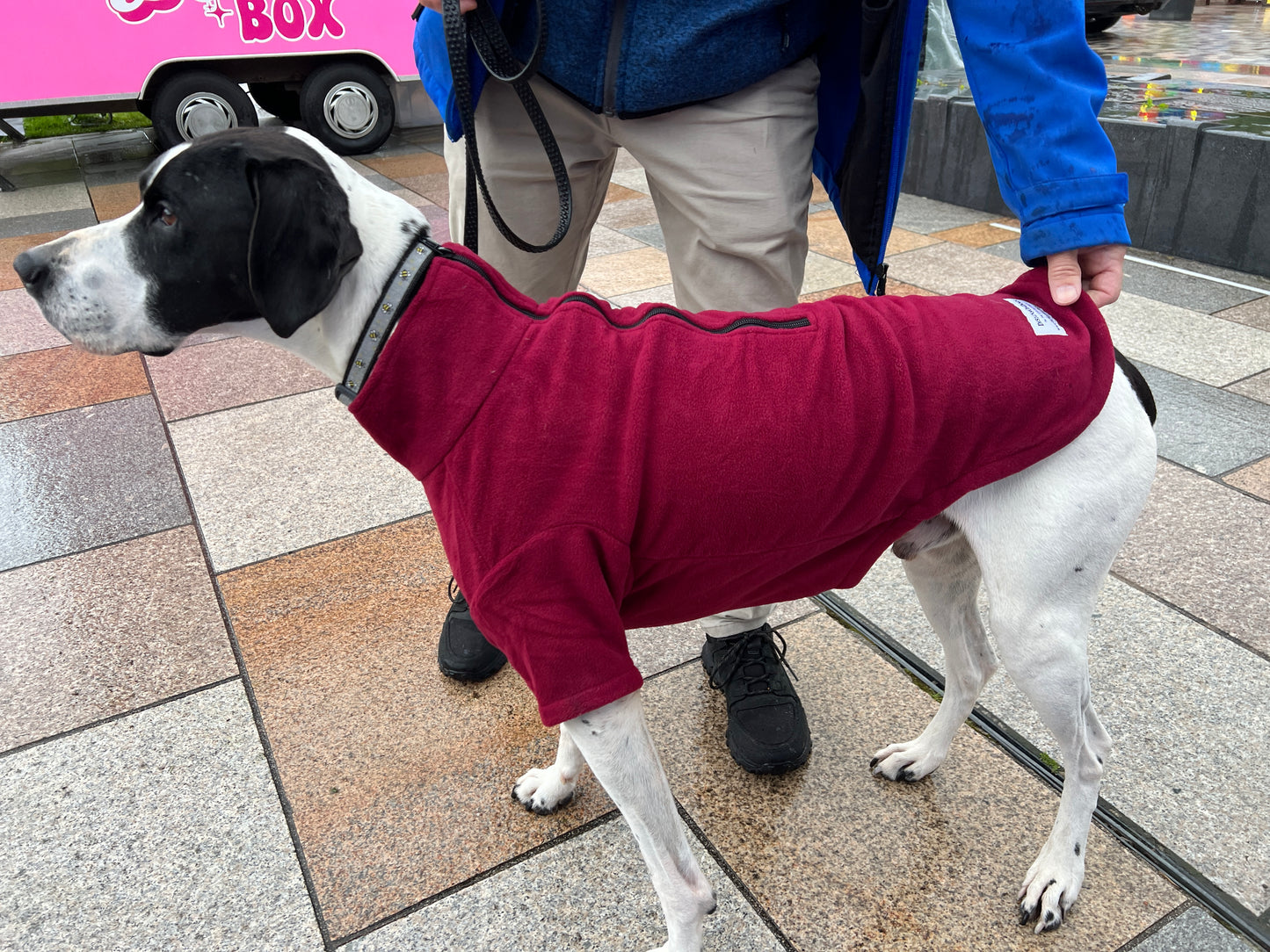 Fleece Jumper with Zipper,  Front Legs