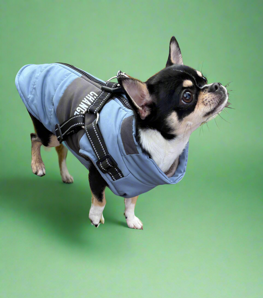 Small Dog Harness Coats