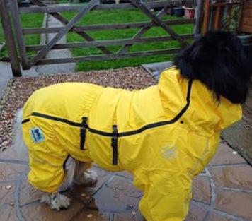 Premium Waterproof Puddlesuit - No Matting
