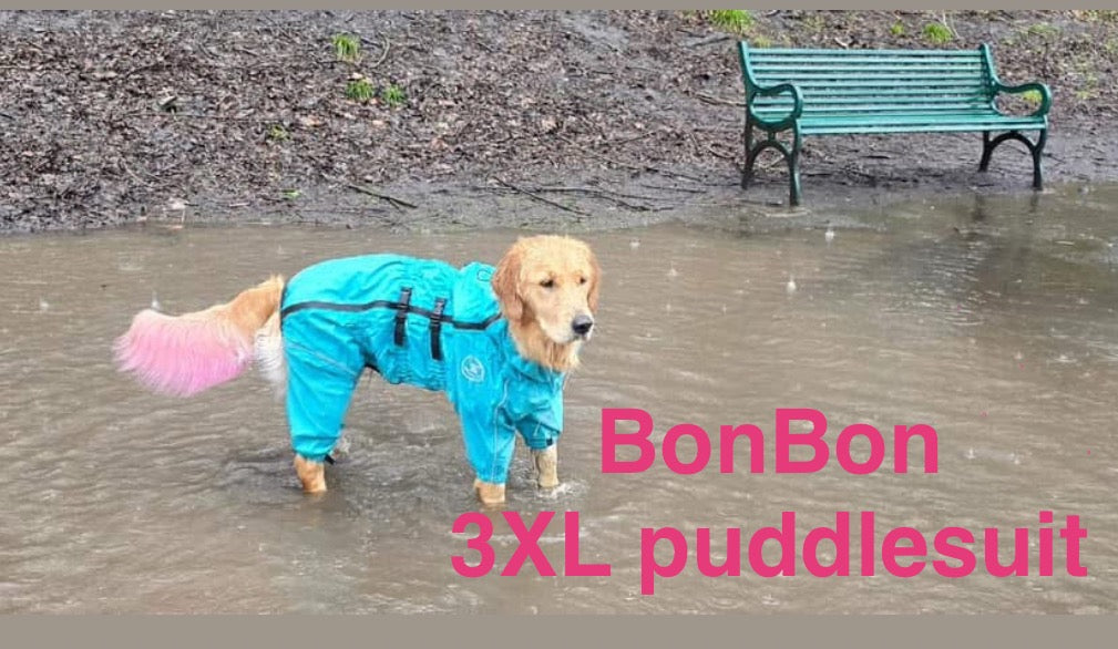 Waterproof puddlesuit for medium to large  dogs - No Matting