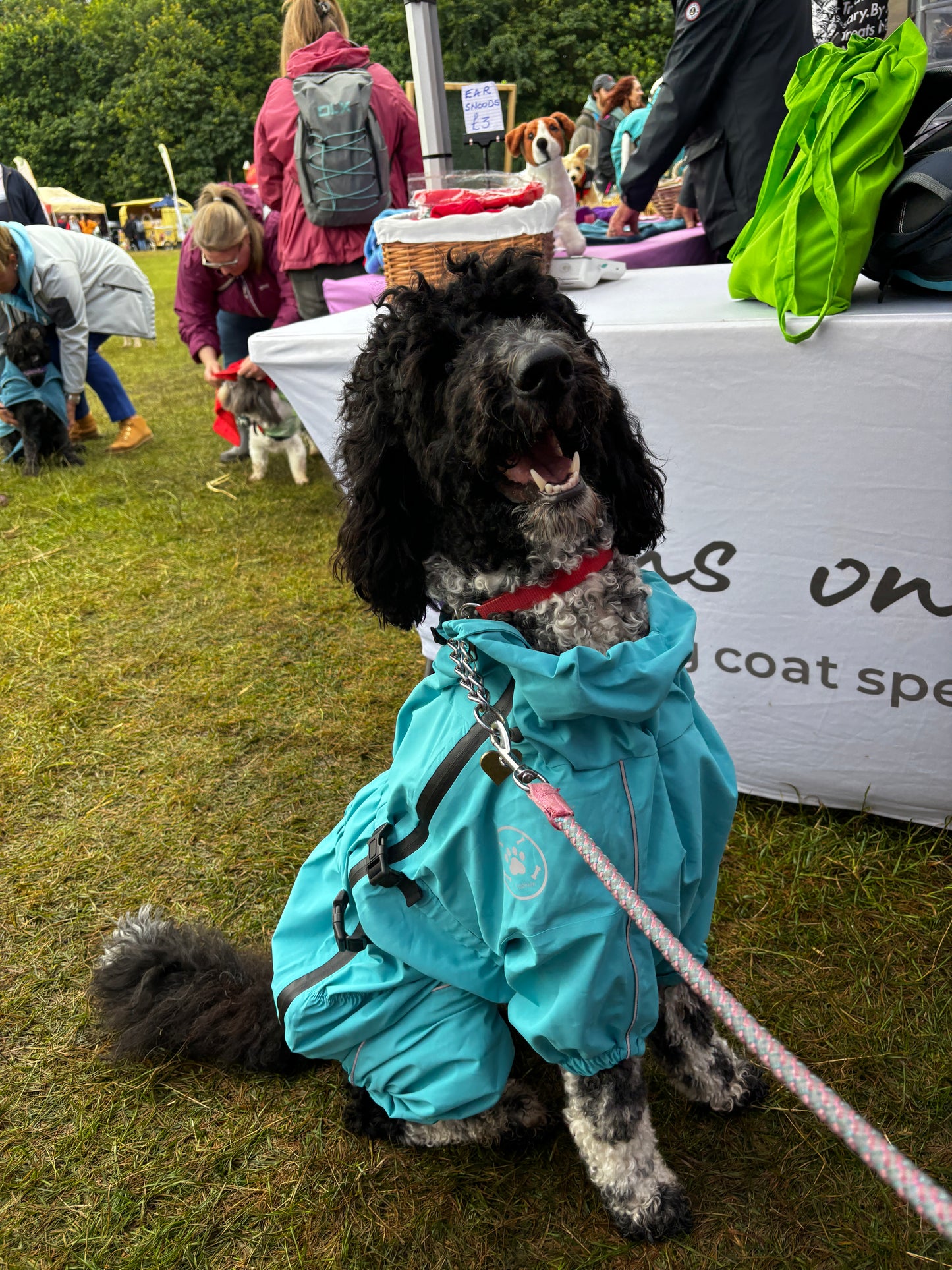 Waterproof puddlesuit for medium to large  dogs