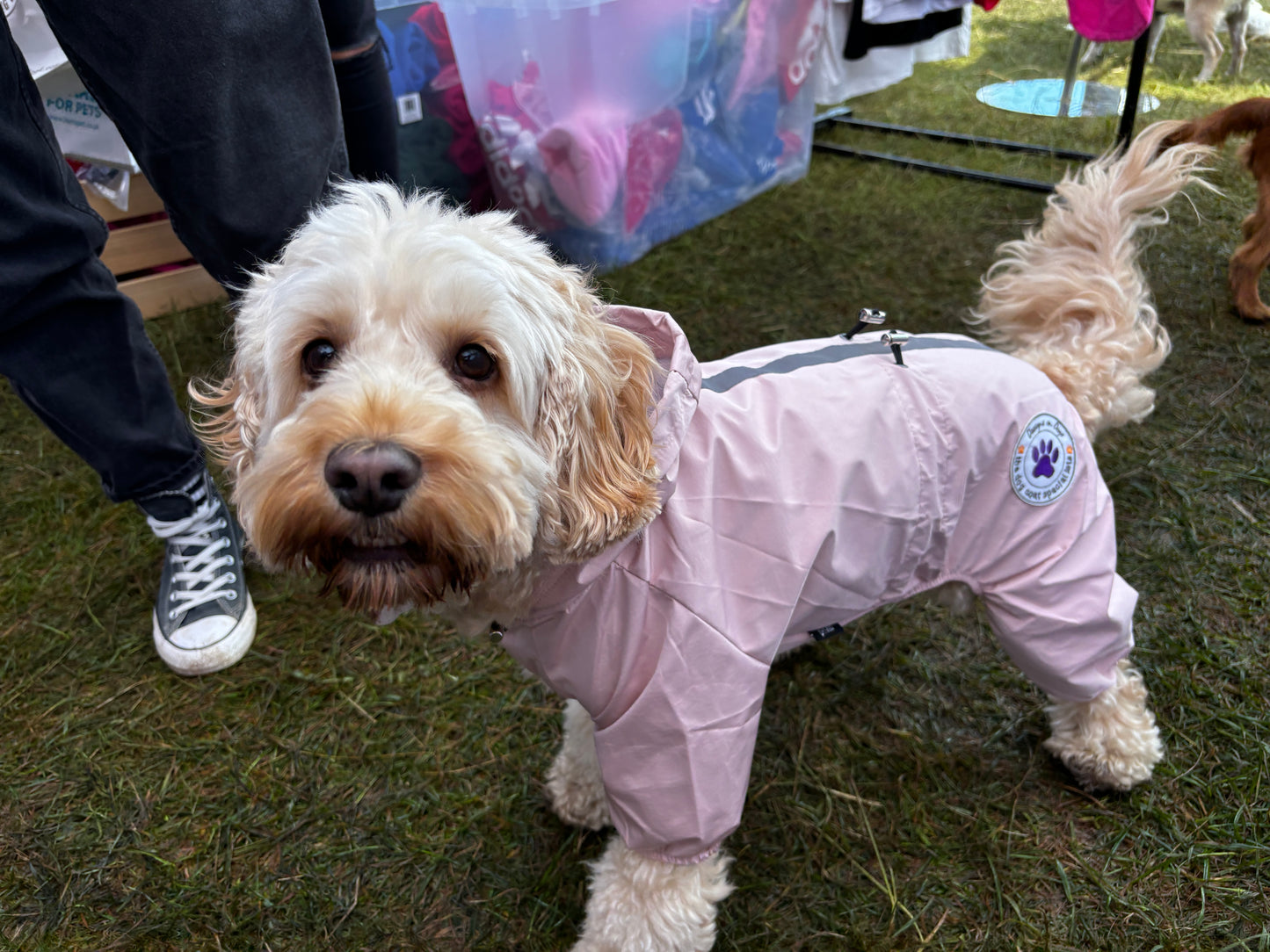 Small Dog Puddlesuit