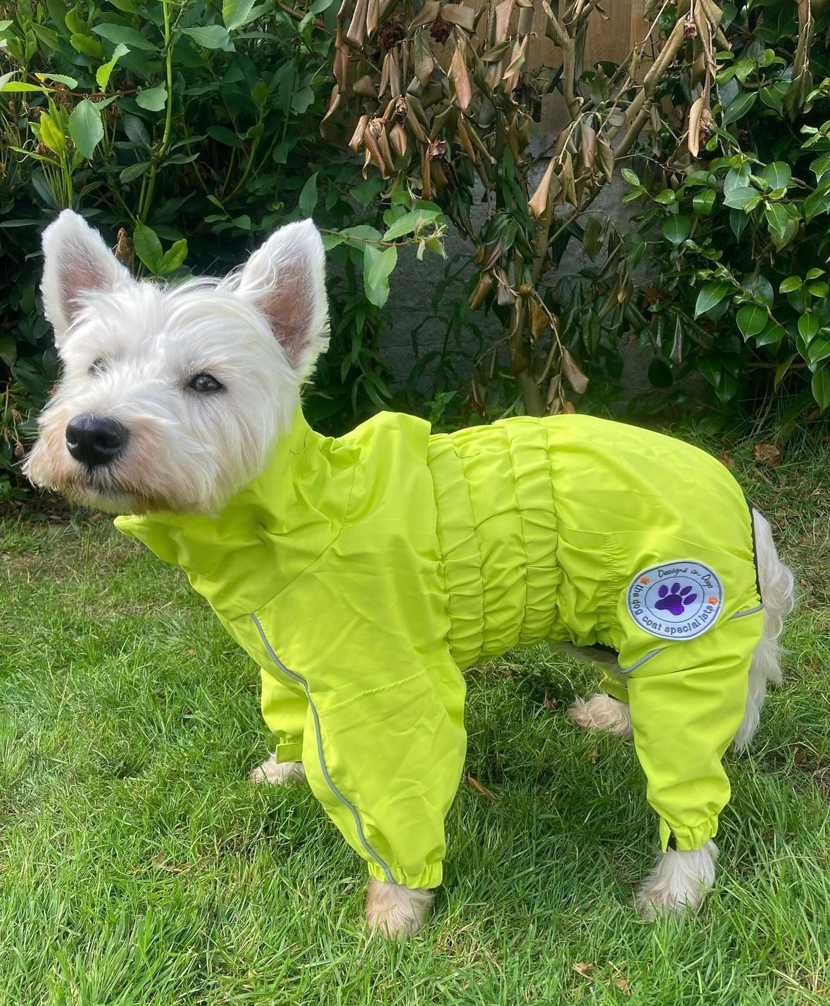 Waterproof puddlesuit for medium to large  dogs