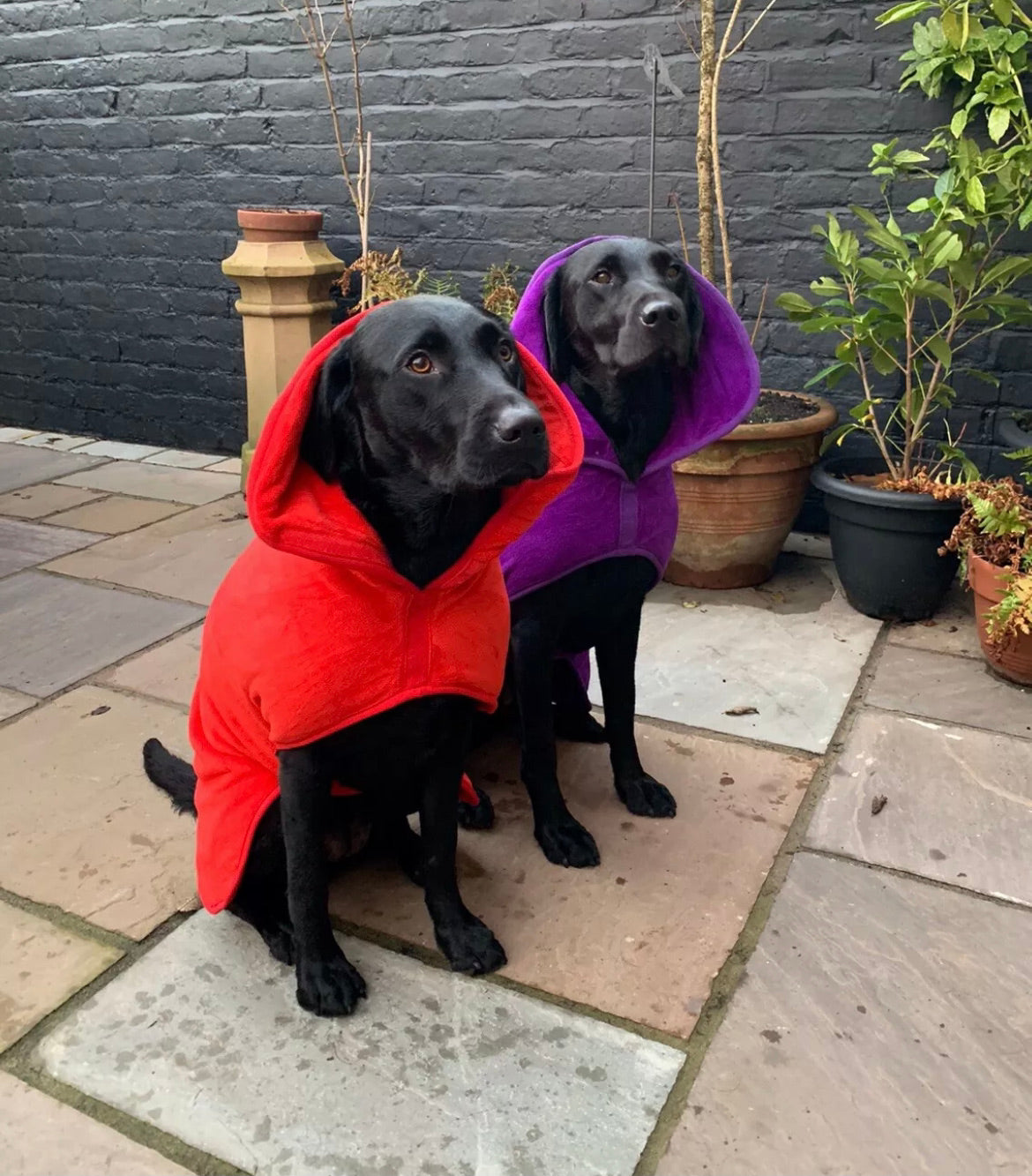 Premium Dog Drying Coat , Bathrobe