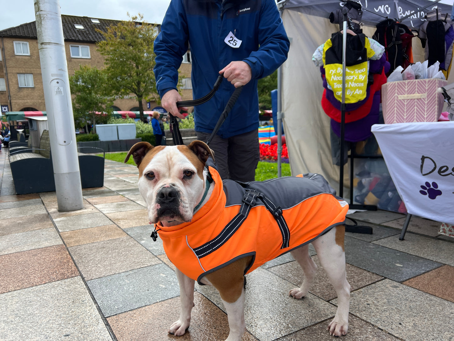 Winter , waterproof raincoat with harness