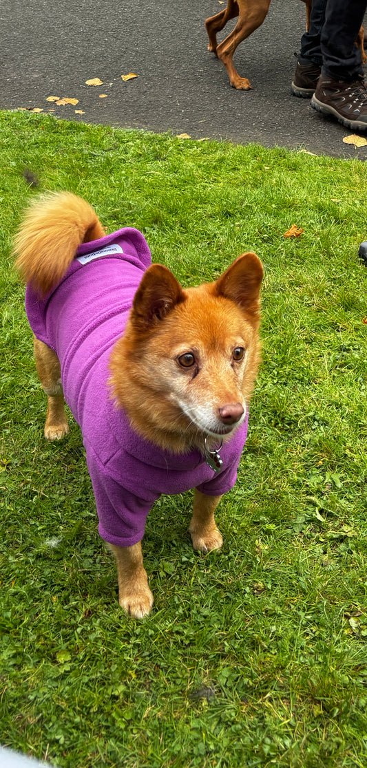 Fleece Jumper with Zipper,  Front Legs