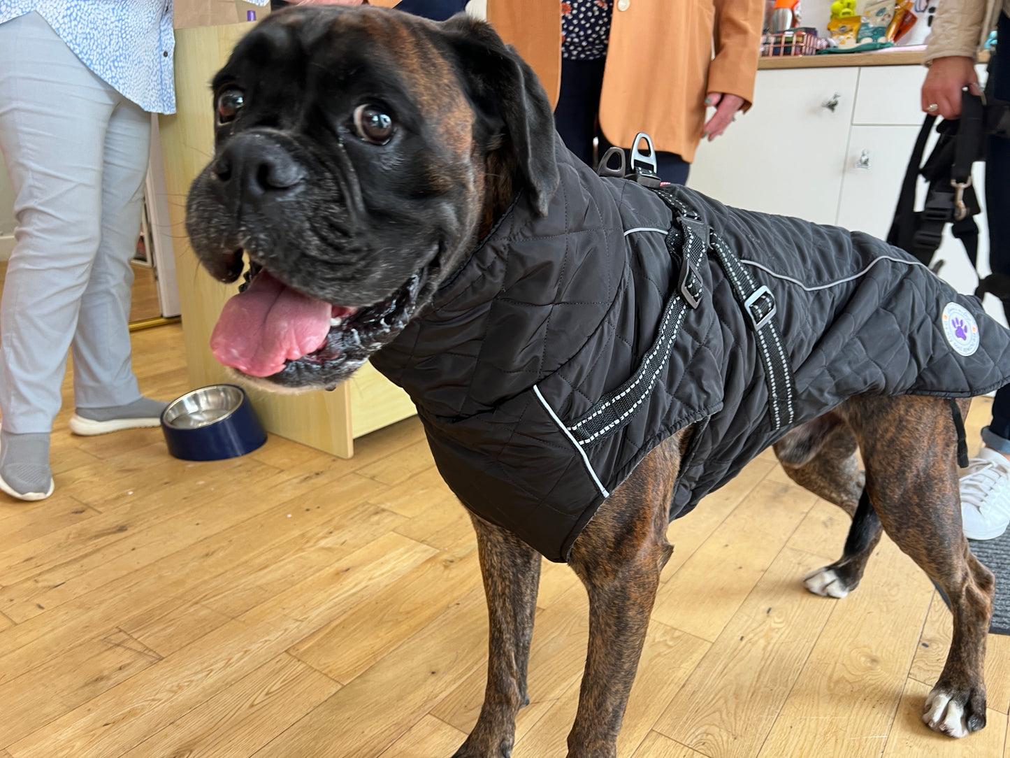 Winter , waterproof raincoat with harness