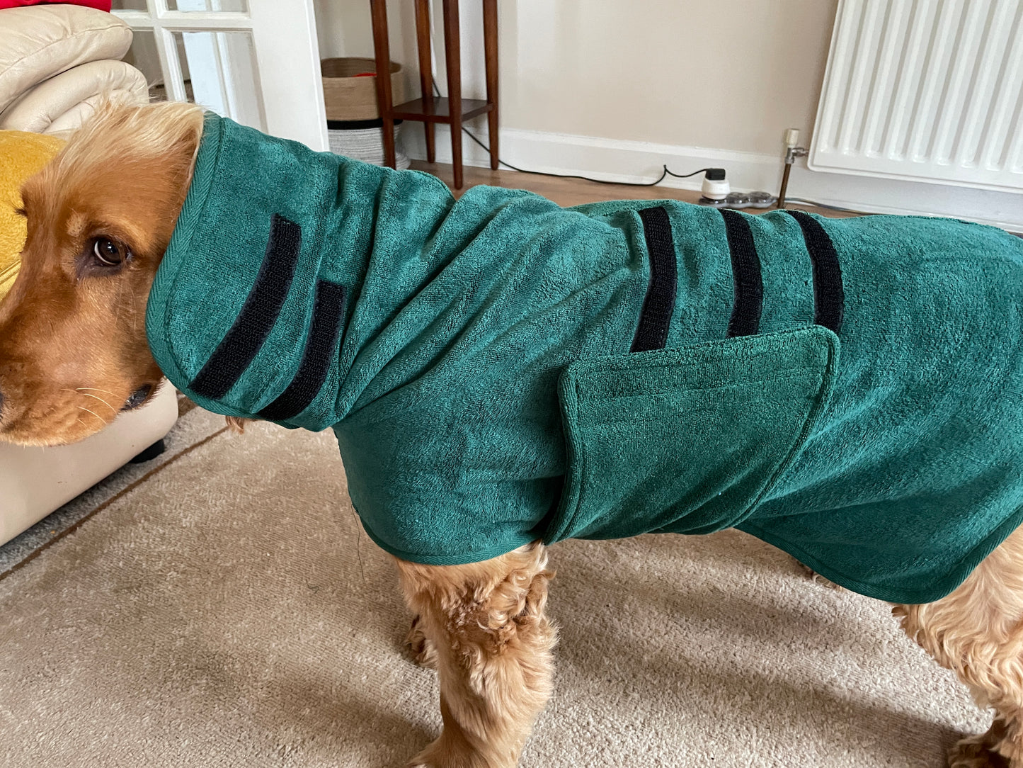 Premium Dog Drying Coat , Bathrobe