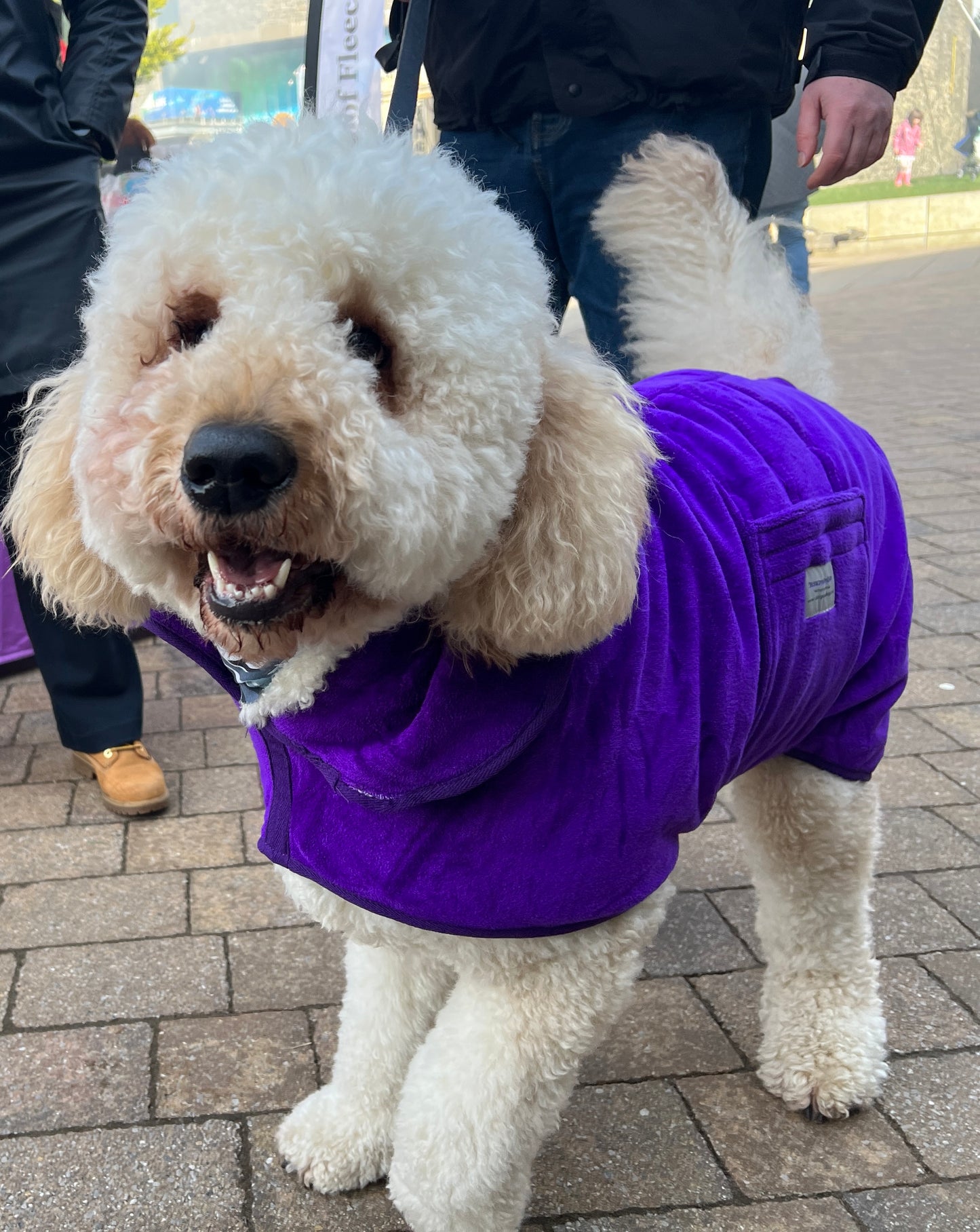 Premium Dog Drying Coat , Bathrobe