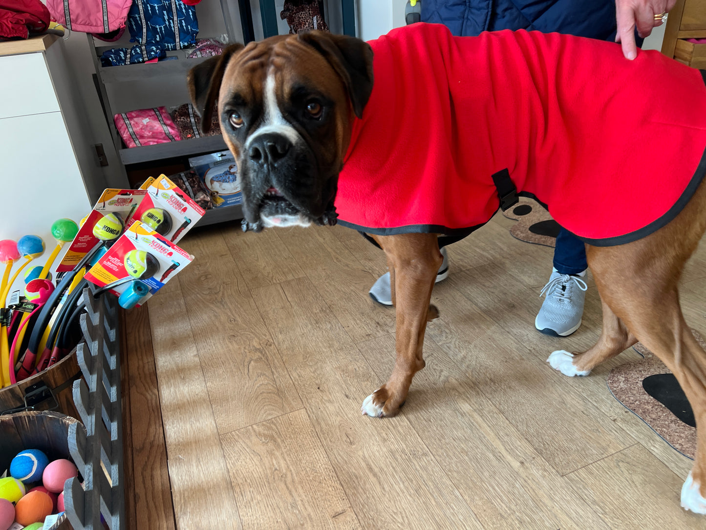 Premium Dog Drying Coat , Bathrobe