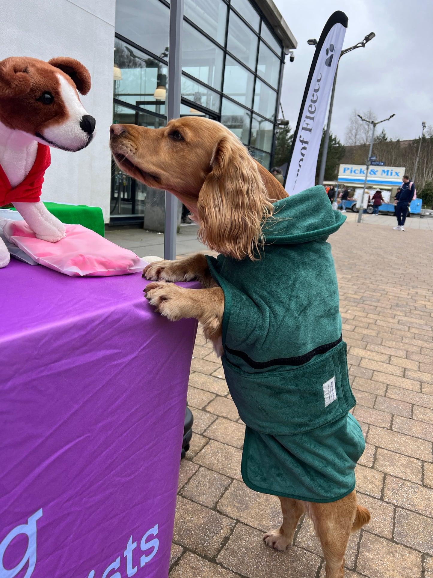 Premium Dog Drying Coat , Bathrobe