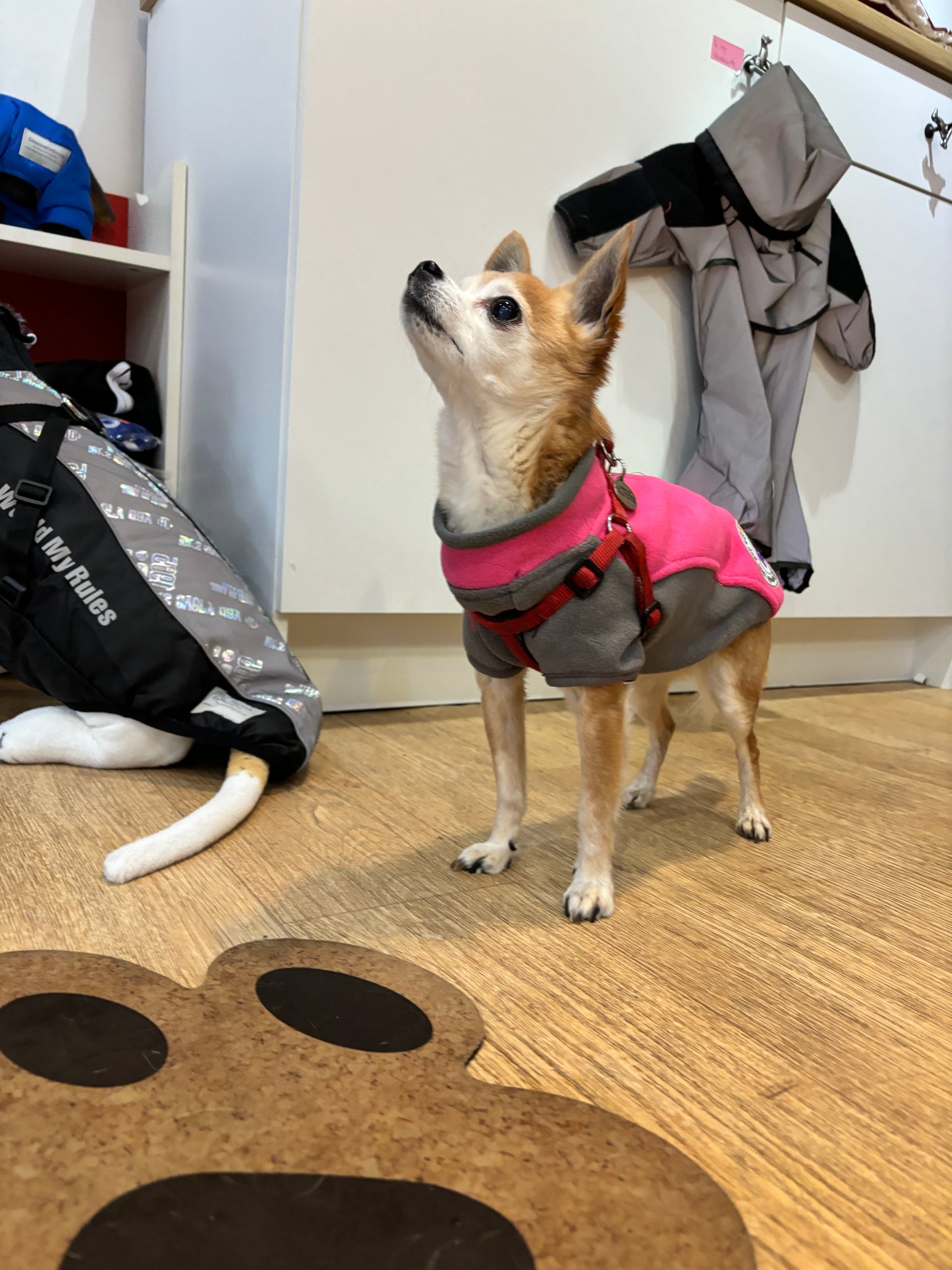 Zipped Fleece for Small Dogs - Cosy and water wicking