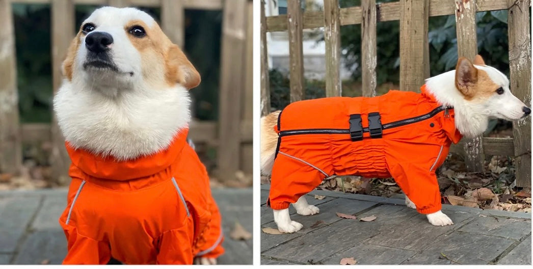 Small Dog Puddlesuit