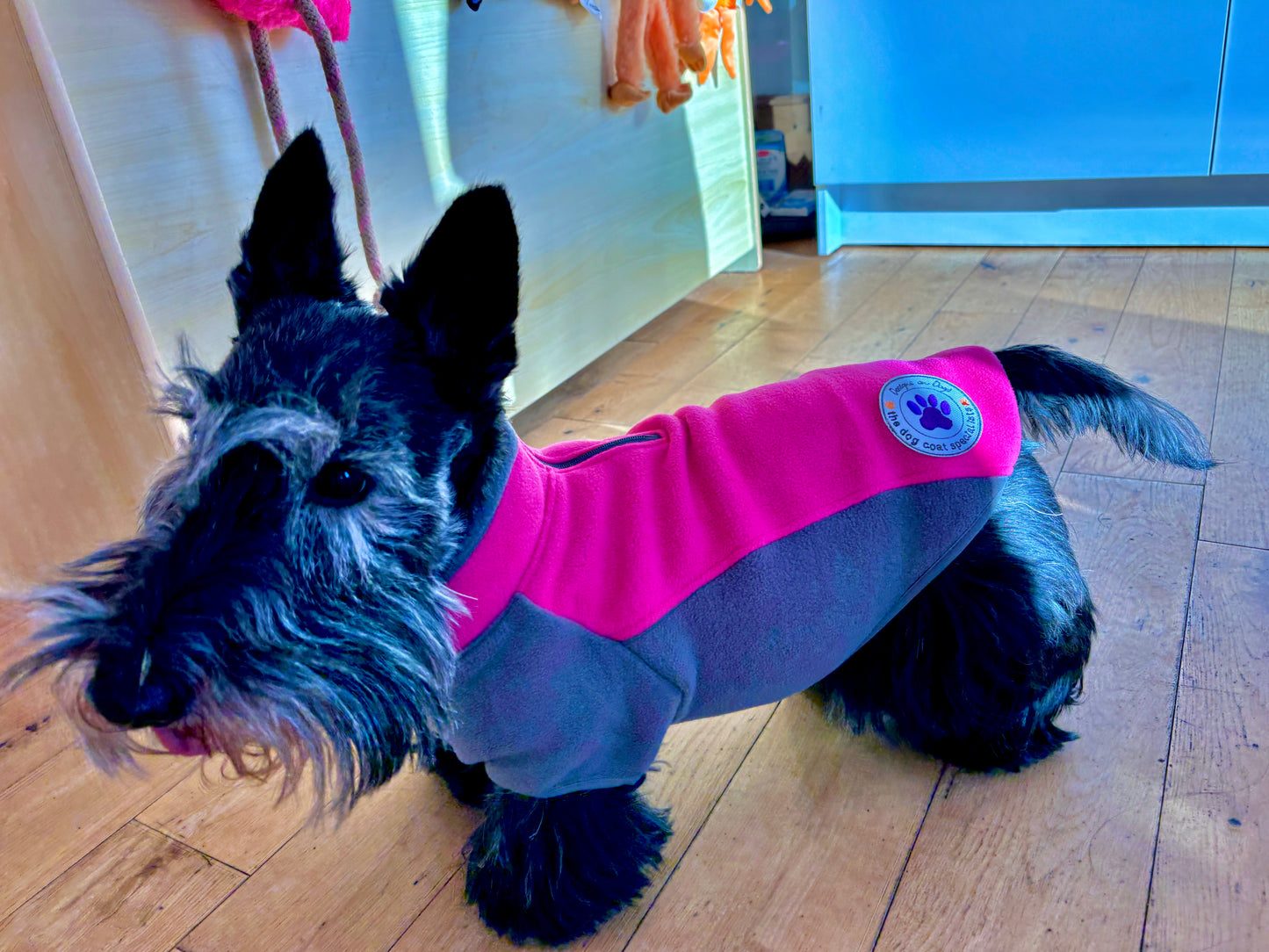 Zipped Fleece for Small Dogs - Cosy and water wicking