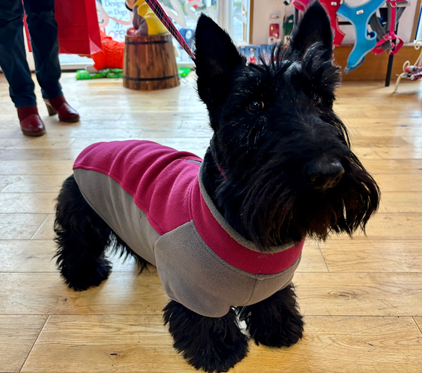 Zipped Fleece for Small Dogs - Cosy and water wicking