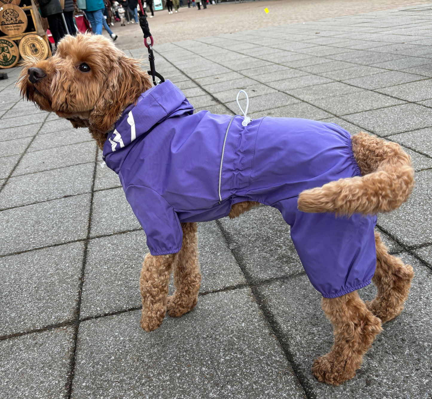 Small Dog Puddlesuit