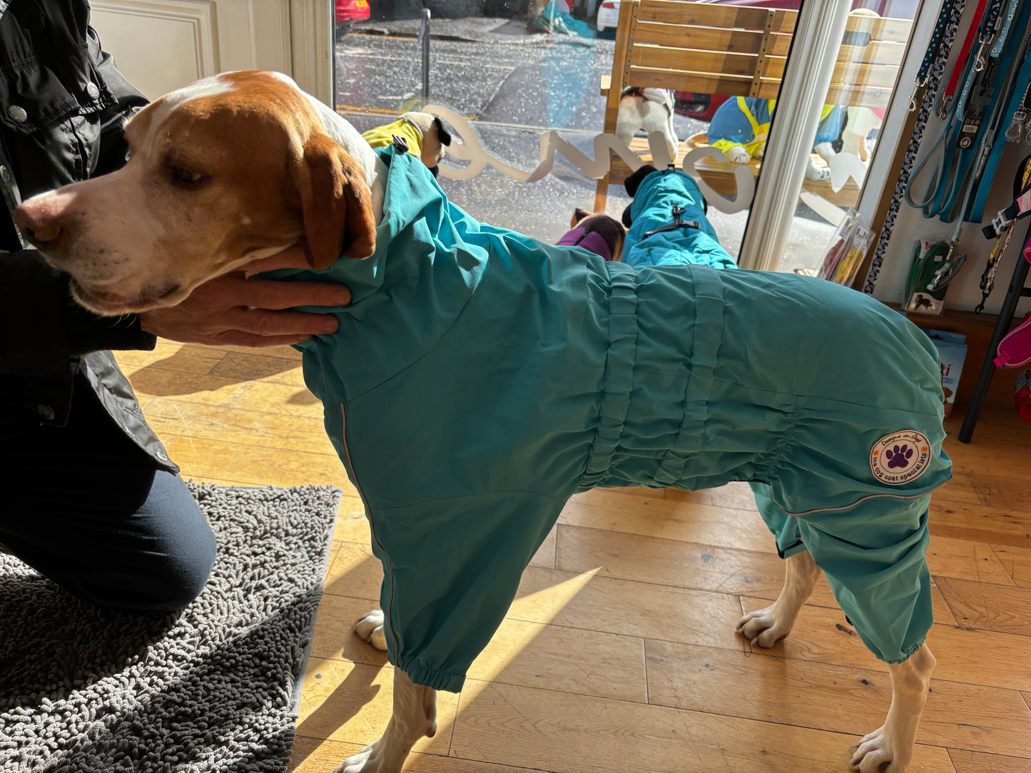 Waterproof puddlesuit for medium to large  dogs