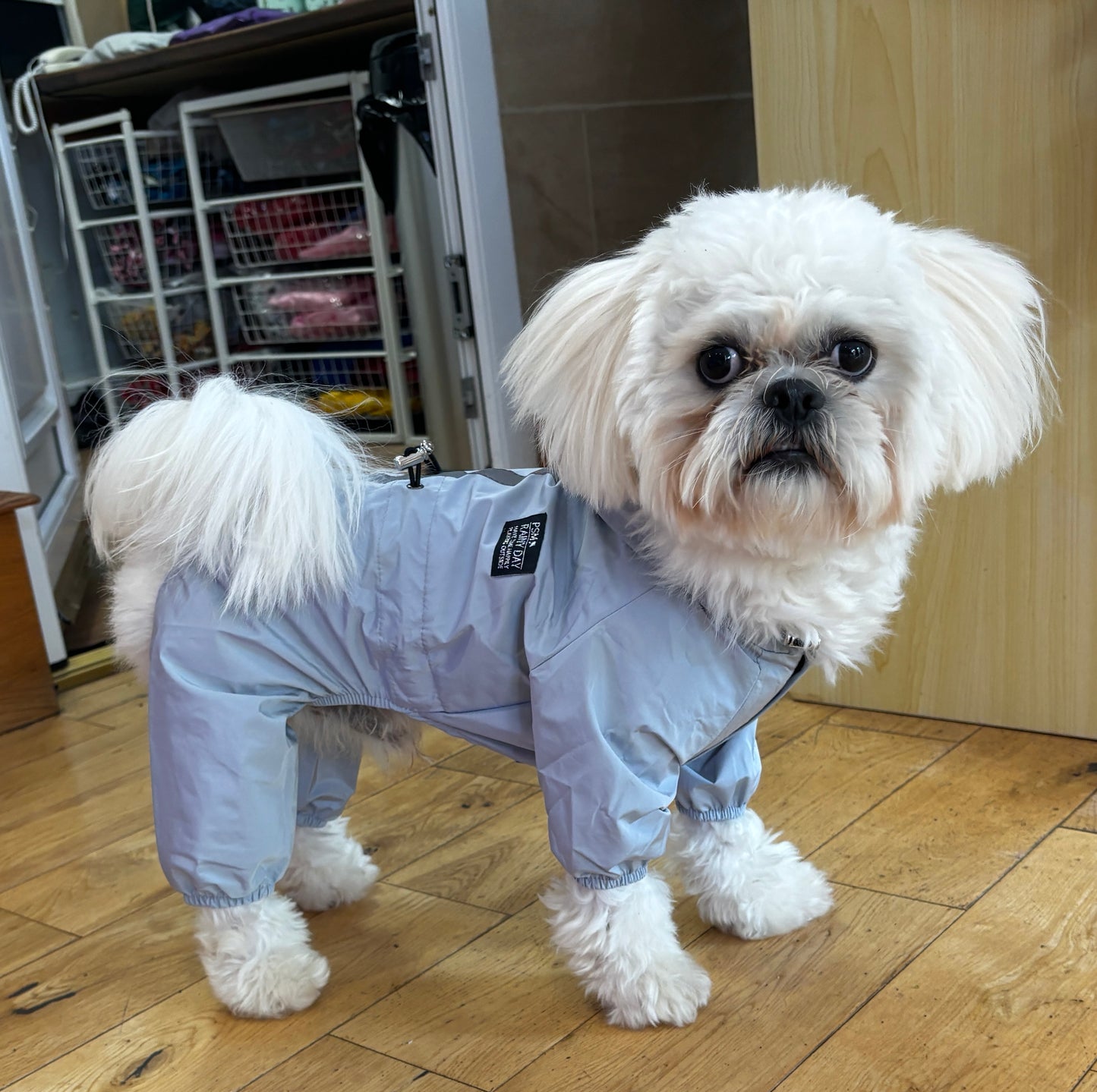 Small Dog Puddlesuit