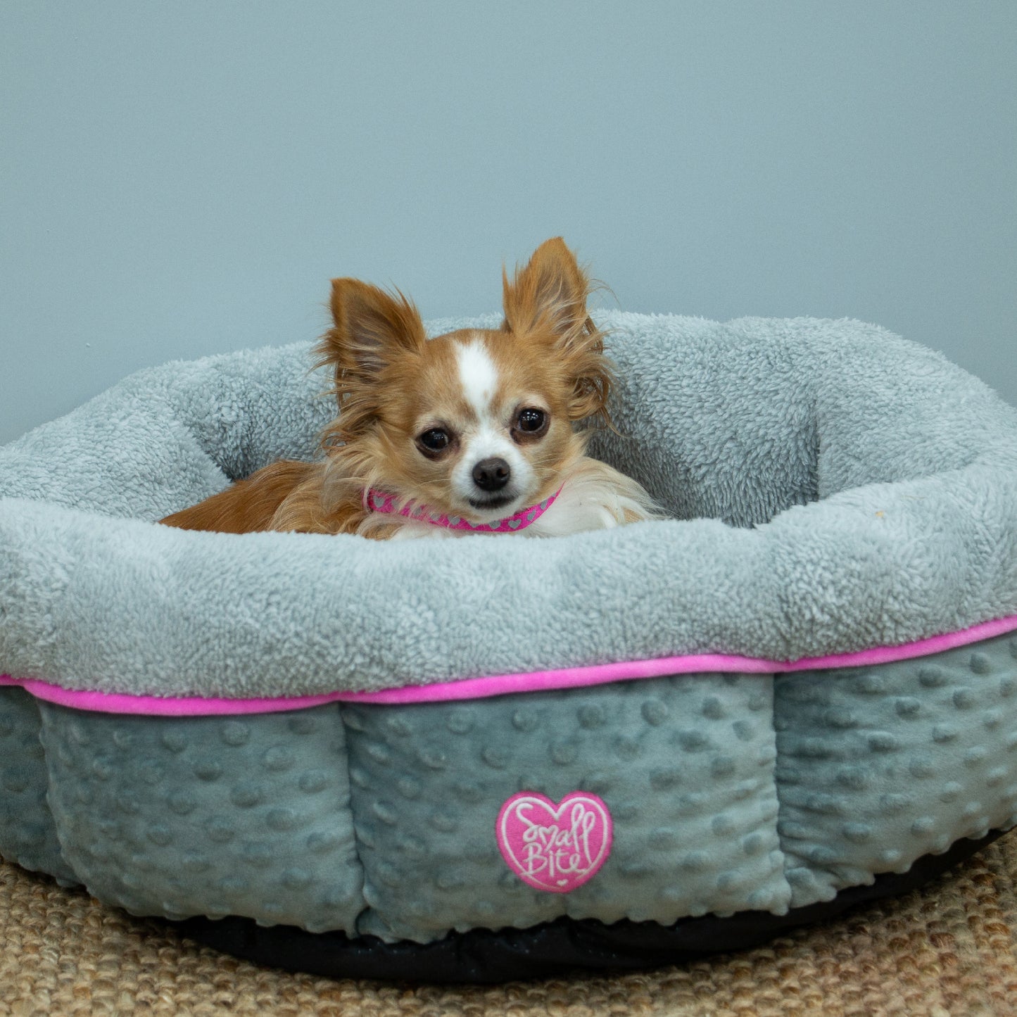 Donut Dog Bed Small Dogs 50cm x 50cm