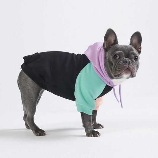 Spark Paws Hoodie - Small Dogs Cyber Punk