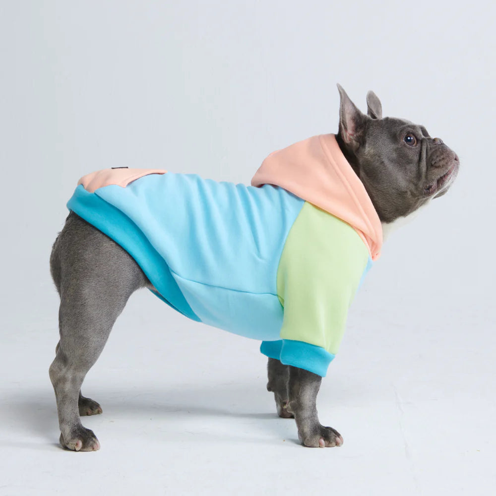 Spark Paws Hoodie - Small Dogs Jelly Bean