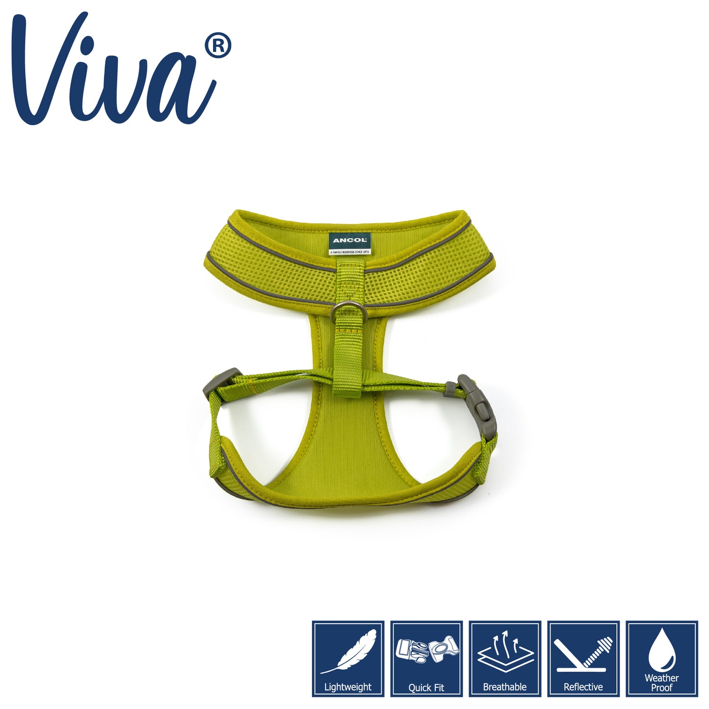 Viva Mesh Comfort Harness with Buckle