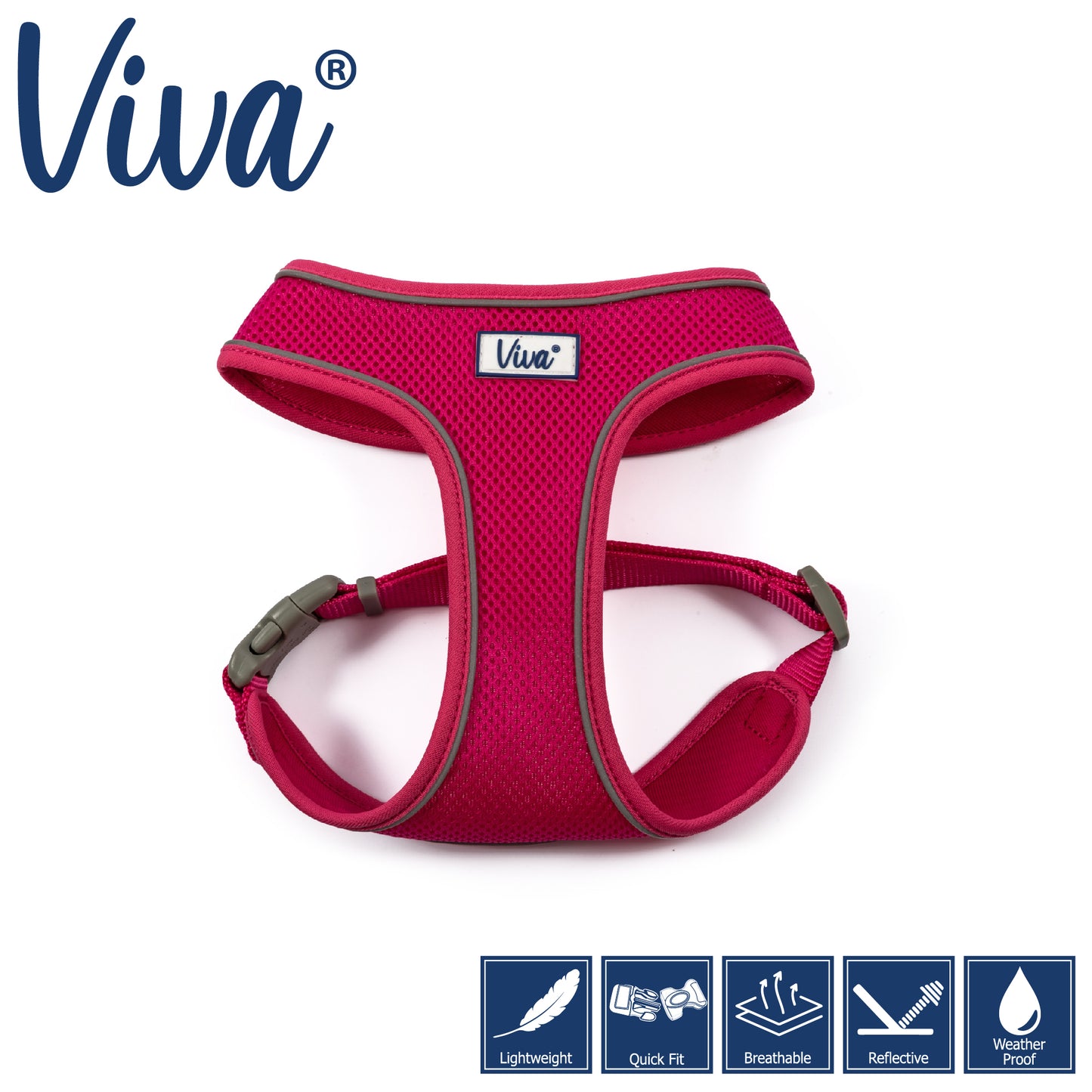 Viva Mesh Comfort Harness with Buckle