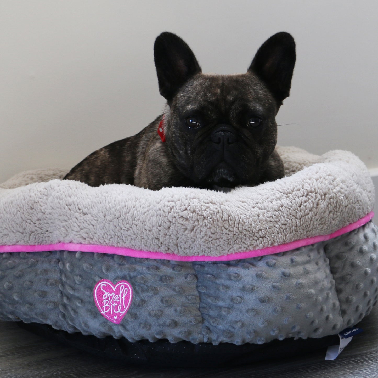 Donut Dog Bed Small Dogs 50cm x 50cm