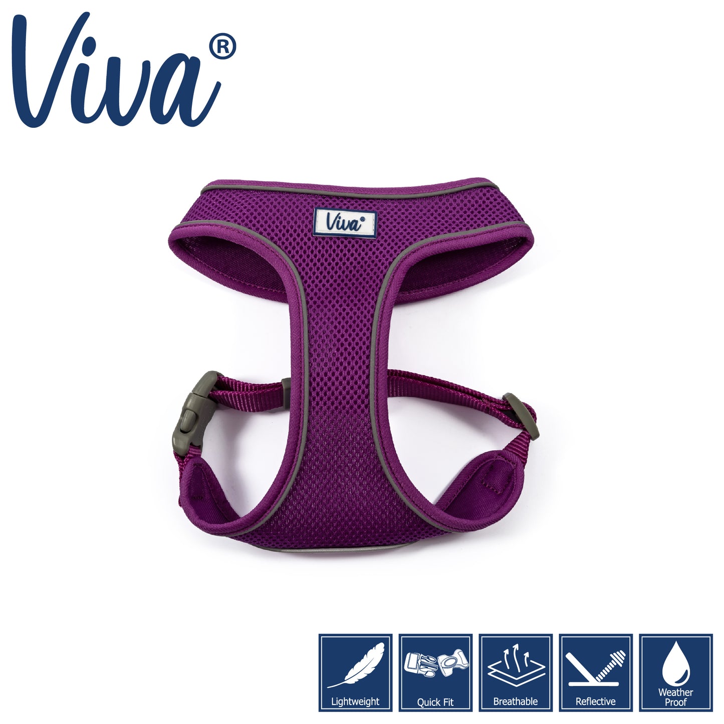 Viva Mesh Comfort Harness with Buckle