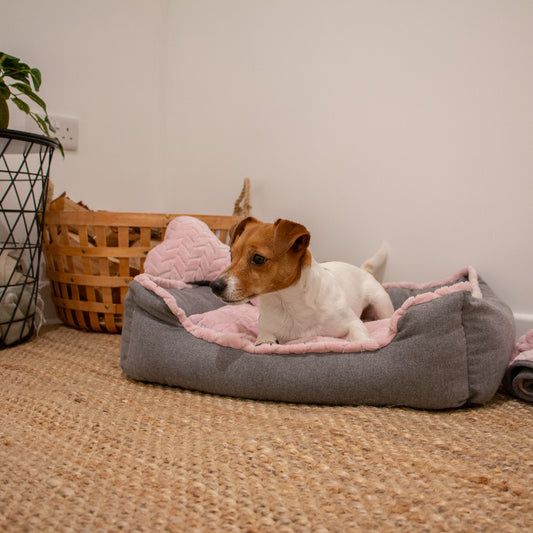 Small Dogs Made From Dog Bed Set 60x50cm