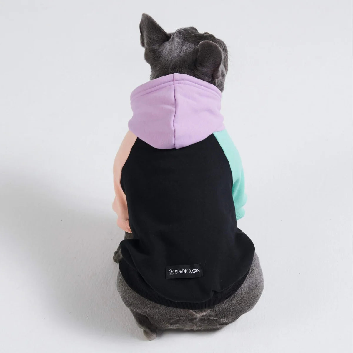 Spark Paws Hoodie - Small Dogs Cyber Punk